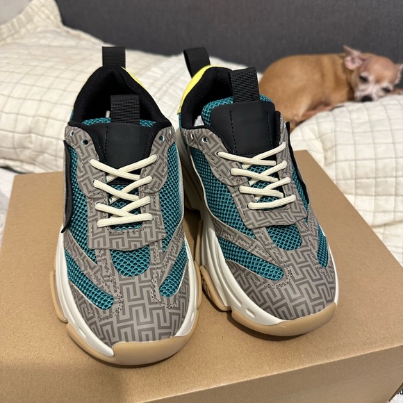 New Steve Maden Women’s Shoes sz 6.5 - Picture 4 of 5